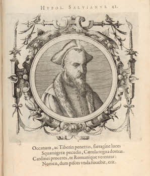 Vol.%20Y%2060%2C%20tav.%2041